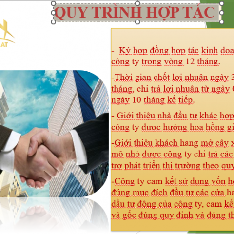 QUY TRÌNH HỢP TÁC